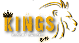 Kings Resort Dandeli – Best Jungle Resort in Dandeli
